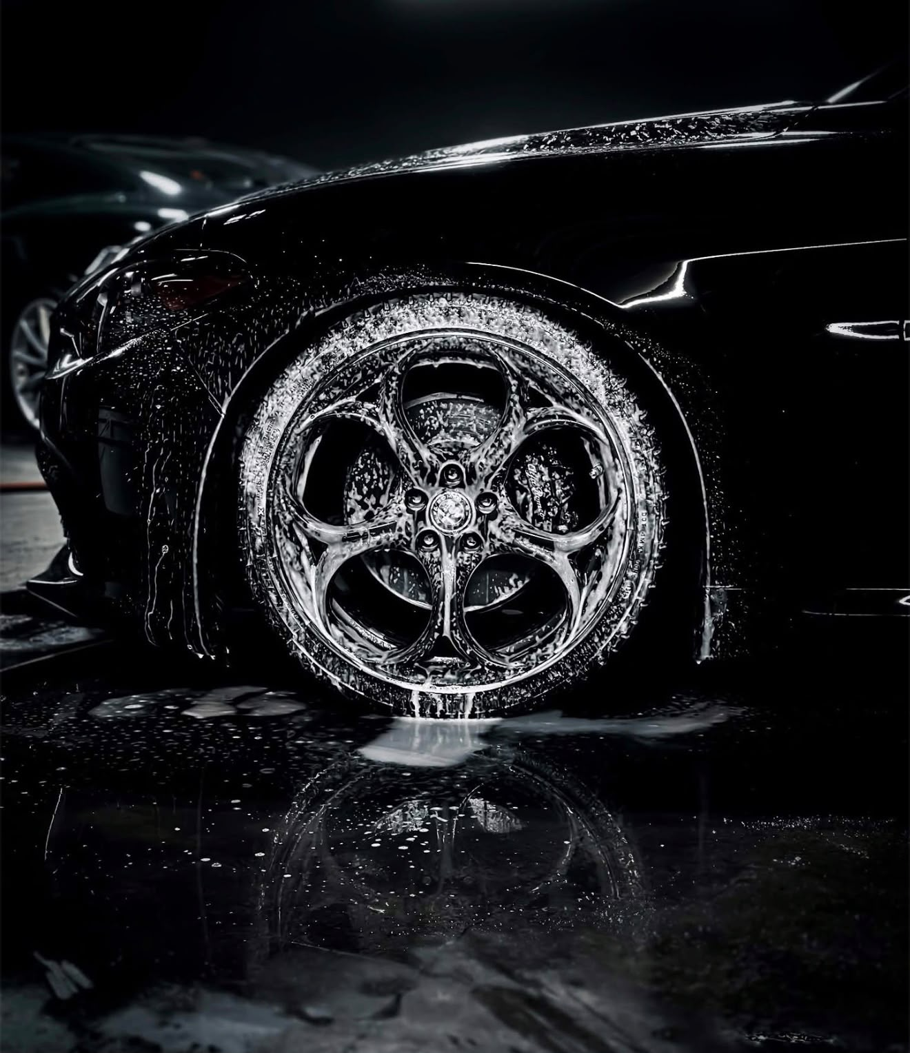 Dramatic wheel detailing black and white