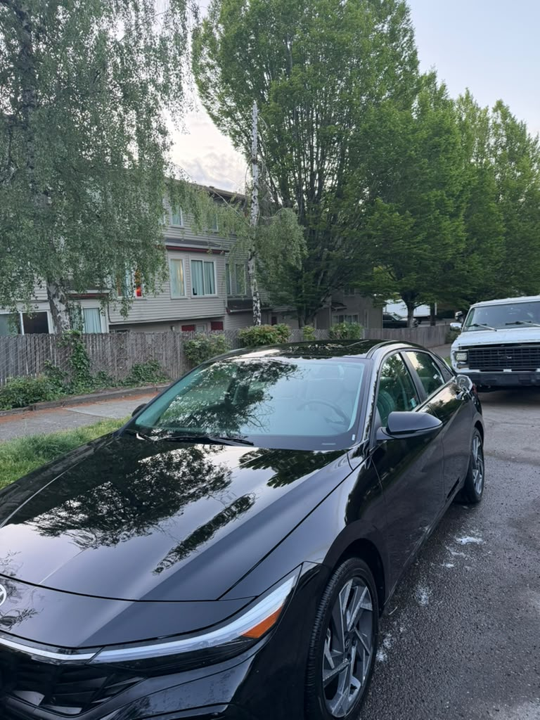 Exterior paint correction result